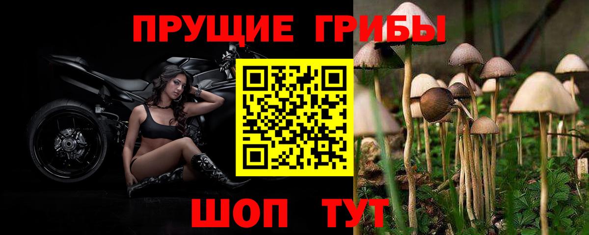 Галлюциногенные грибы мицелий Волжск